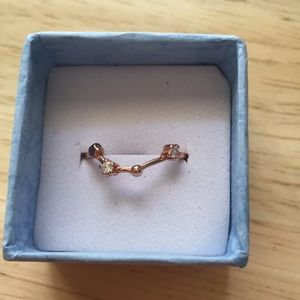 Rose Gold Aquarius Ring, size 8